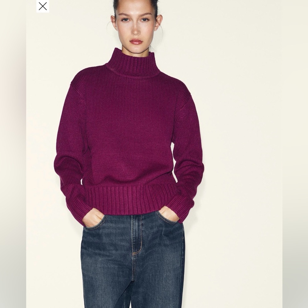 Zara Purple Women's sweater